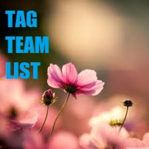 TAG TEAM LIST - Like Share Follow